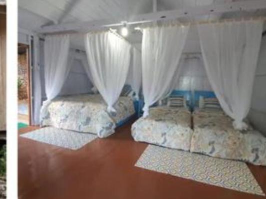 Scuba Republic Beach Bungalows Bira Chambre photo